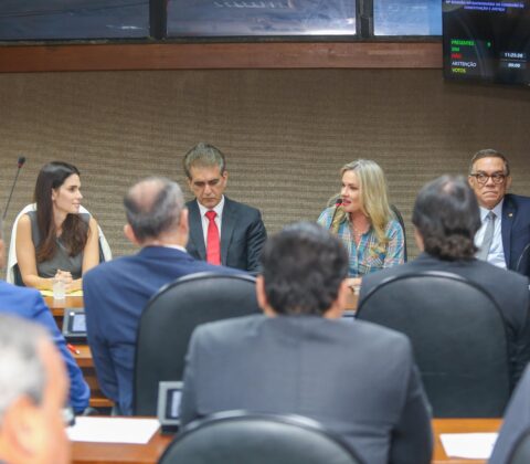 Imagem do post Ivana Bastos defende maior participação feminina com possível indicação de Camila Vasquez para o TCM-BA