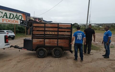 Imagem do post Prefeitura de Lauro de Freitas apreende cinco cavalos soltos na Avenida Santos Dumont