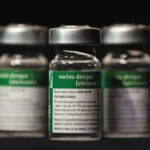 Vacina da dengue é suspensa: veja o que fazer se você já foi imunizado
