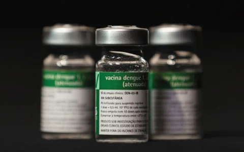 Imagem do post Vacina da dengue é suspensa: veja o que fazer se você já foi imunizado