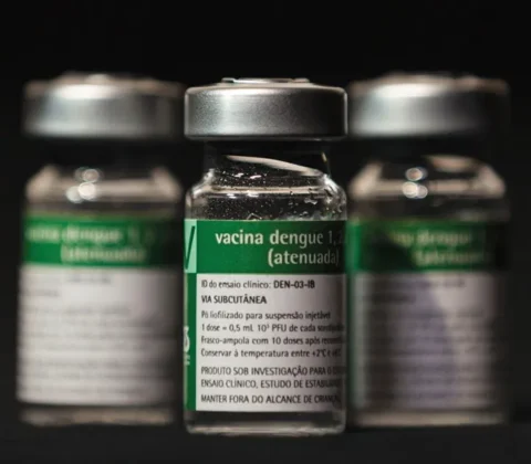 Imagem do post Vacina da dengue é suspensa: veja o que fazer se você já foi imunizado