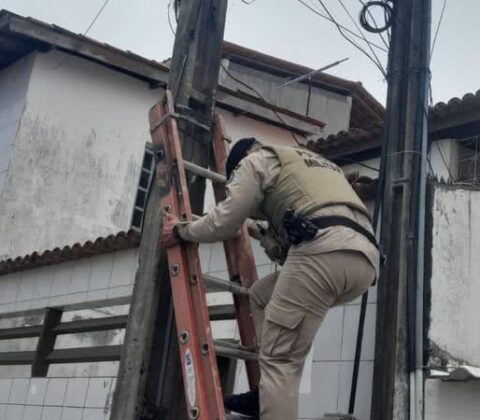 Imagem do post Santa Cruz: PM apreende câmeras usadas pelo CV após confronto com criminosos