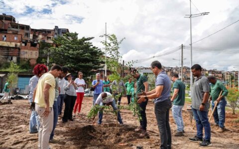 Imagem do post Salvador ganha primeira microfloresta urbana para combater ilhas de calor e mitigar efeitos climáticos