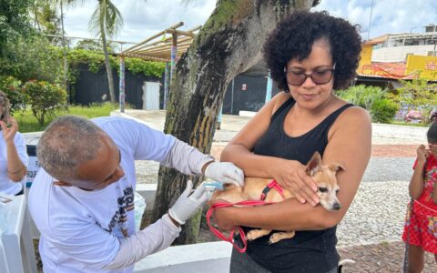 Imagem do post Prefeitura de Lauro inicia campanha de vacinação antirrábica para cães e gatos neste sábado