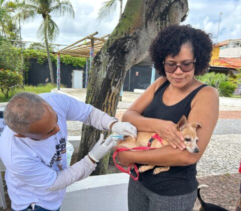 Imagem do post Prefeitura de Lauro inicia campanha de vacinação antirrábica para cães e gatos neste sábado