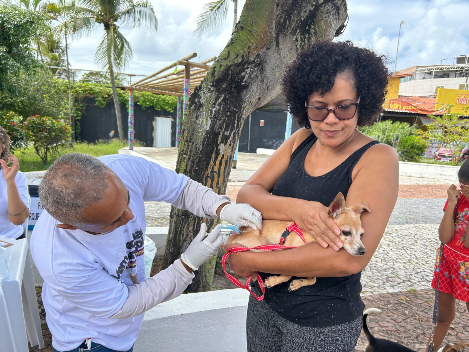 Prefeitura de Lauro inicia campanha de vacinação antirrábica para cães e gatos neste sábado