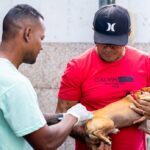 Camaçari realiza o Dia D de imunização de animais de estimação neste sábado