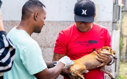 Imagem do post Camaçari realiza o Dia D de imunização de animais de estimação neste sábado