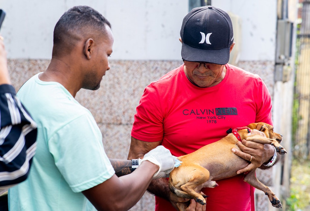 Camaçari realiza o Dia D de imunização de animais de estimação neste sábado