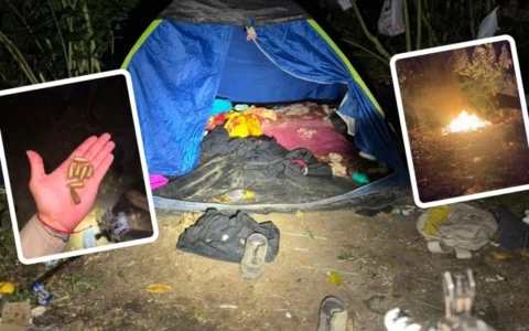 Imagem do post Rondesp desarticula acampamento de facção e apreende munições de fuzil