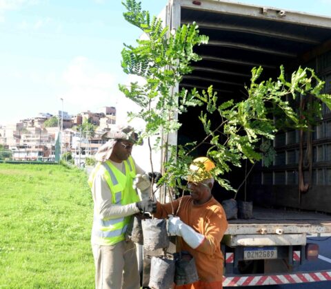 Imagem do post Jovens poderão receber até US$ 5 mil para projetos de combate às mudanças climáticas
