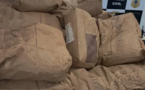 Imagem do post Carga de cacau avaliada em mais de R$ 280 mil é recuperada pela Polícia Civil