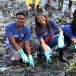 Estudantes plantam 3 mil mudas de mangue em trecho do VLT