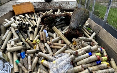Imagem do post Mais de três toneladas de artefatos explosivos são incinerados em Cruz das Almas