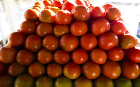 Imagem do post Tomate fica quase 16% mais barato; veja quais frutas e hortaliças tiveram queda nos preços