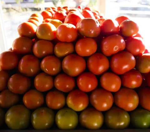 Imagem do post Tomate fica quase 16% mais barato; veja quais frutas e hortaliças tiveram queda nos preços