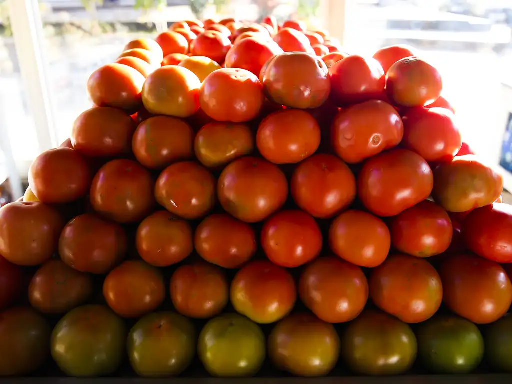 Tomate fica quase 16% mais barato; veja quais frutas e hortaliças tiveram queda nos preços