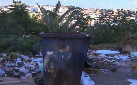 Imagem do post Corpo e cabeça são encontrados separados em área do Cabula VI