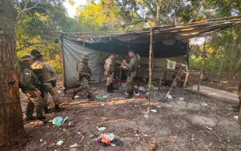 Imagem do post Acampamento do BDM é desarticulado pela PM; armas, drogas e munições são apreendidas
