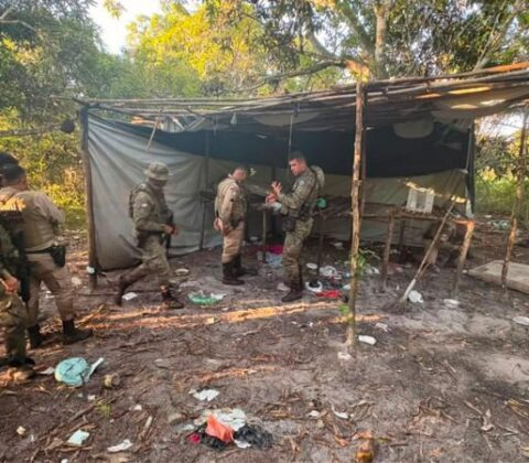 Imagem do post Acampamento do BDM é desarticulado pela PM; armas, drogas e munições são apreendidas