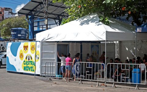 Imagem do post Salvador amplia Castramóvel e passa a ter três unidades gratuitas