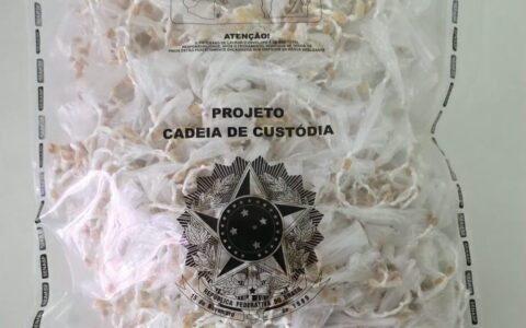 Imagem do post Mais de 2,6 mil pedras de crack são apreendidas em desdobramento da Operação Contrafluxo