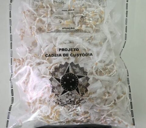 Imagem do post Mais de 2,6 mil pedras de crack são apreendidas em desdobramento da Operação Contrafluxo