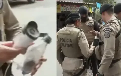 Imagem do post PM desmonta sistema de câmeras clandestinas do BDM