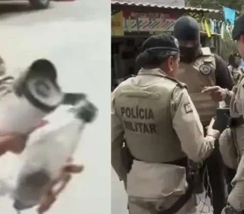 Imagem do post PM desmonta sistema de câmeras clandestinas do BDM