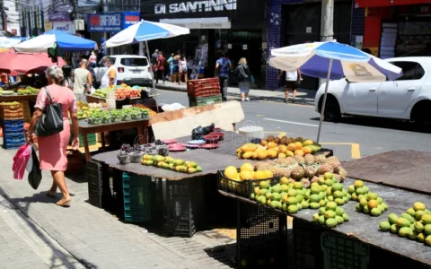 Imagem do post Suspeito de tráfico é preso enquanto usava comércio de frutas como disfarce