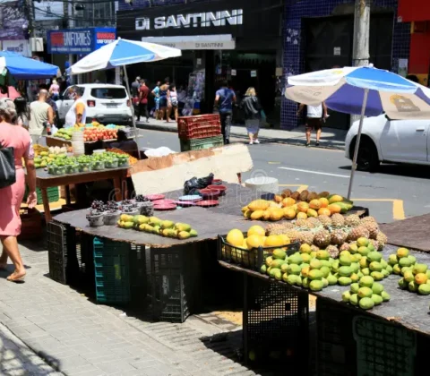 Imagem do post Suspeito de tráfico é preso enquanto usava comércio de frutas como disfarce