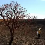 Governo alinha ações contra impactos do El Niño