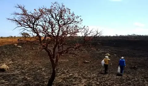 Imagem do post Governo alinha ações contra impactos do El Niño