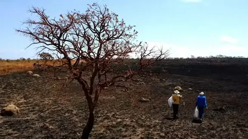 Governo alinha ações contra impactos do El Niño