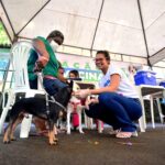Campanha contra a raiva entra na reta final em Salvador; veja onde vacinar