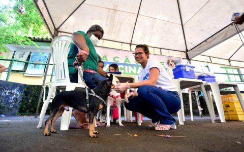 Imagem do post Campanha contra a raiva entra na reta final em Salvador; veja onde vacinar