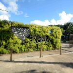 Estudantes participam de oficinas sobre educação financeira no Parque da Cidade
