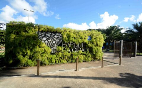 Imagem do post Estudantes participam de oficinas sobre educação financeira no Parque da Cidade