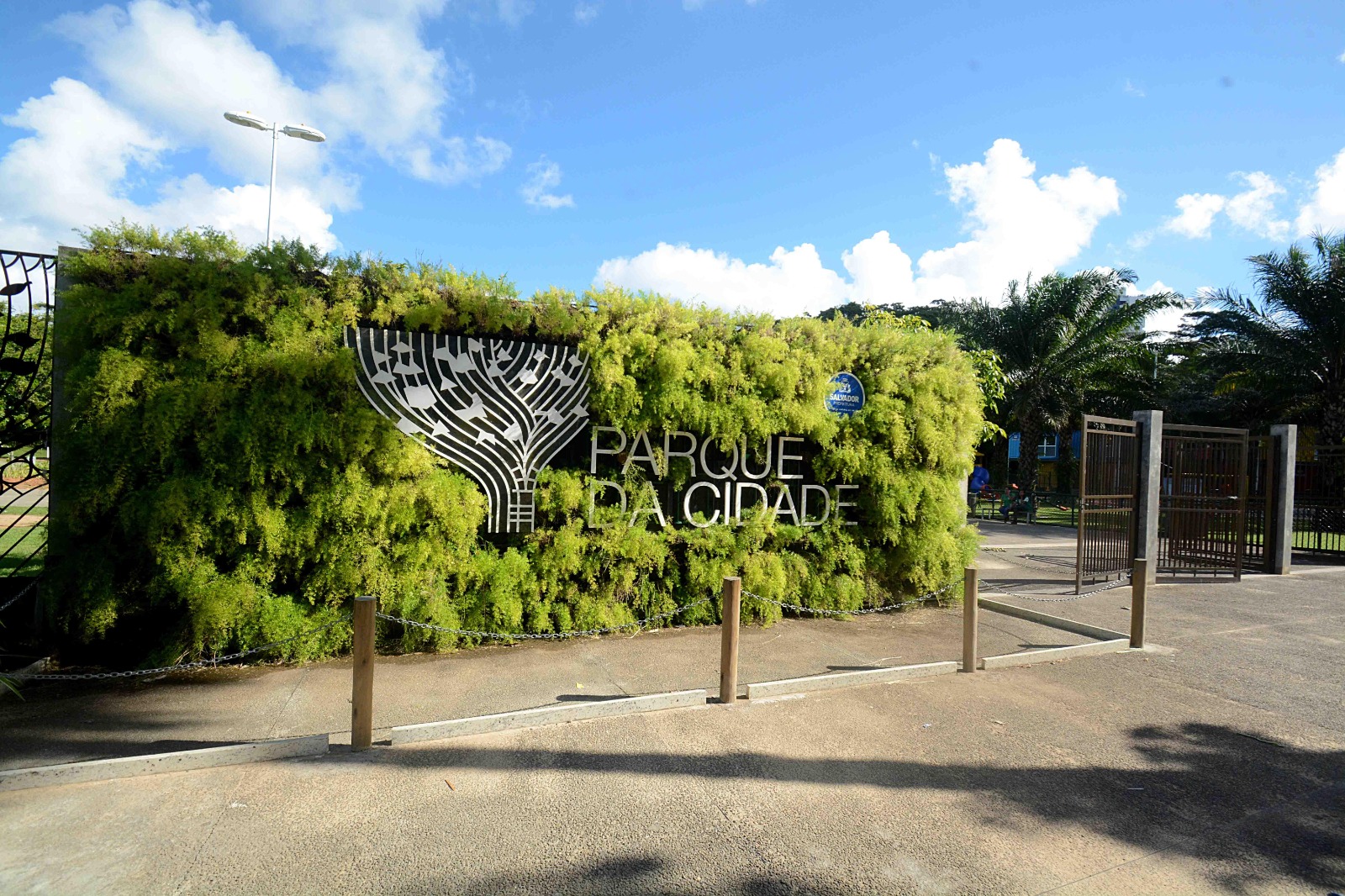 Estudantes participam de oficinas sobre educação financeira no Parque da Cidade