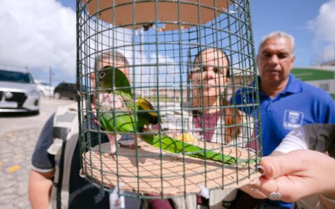 Imagem do post Lauro de Freitas recebe aves silvestres entregues voluntariamente e reforça proteção à fauna
