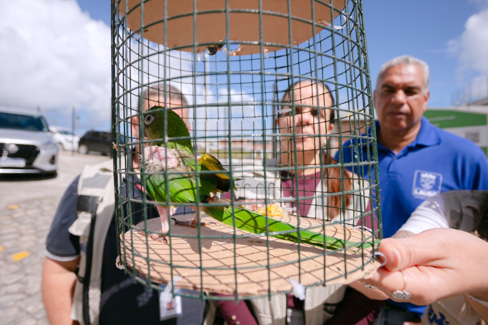 Lauro de Freitas recebe aves silvestres entregues voluntariamente e reforça proteção à fauna