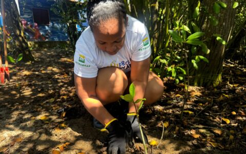 Imagem do post Ação do Projeto Mares retira mais de 40 kg de lixo em manguezal na Ilha de Itaparica