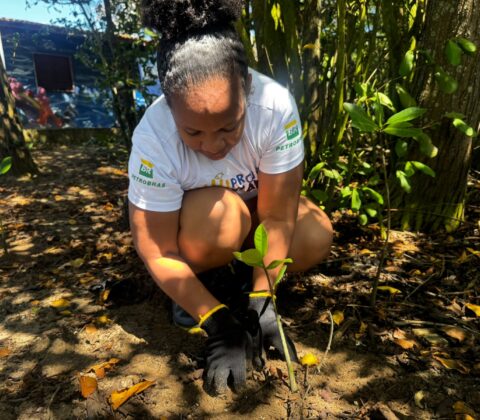 Imagem do post Ação do Projeto Mares retira mais de 40 kg de lixo em manguezal na Ilha de Itaparica