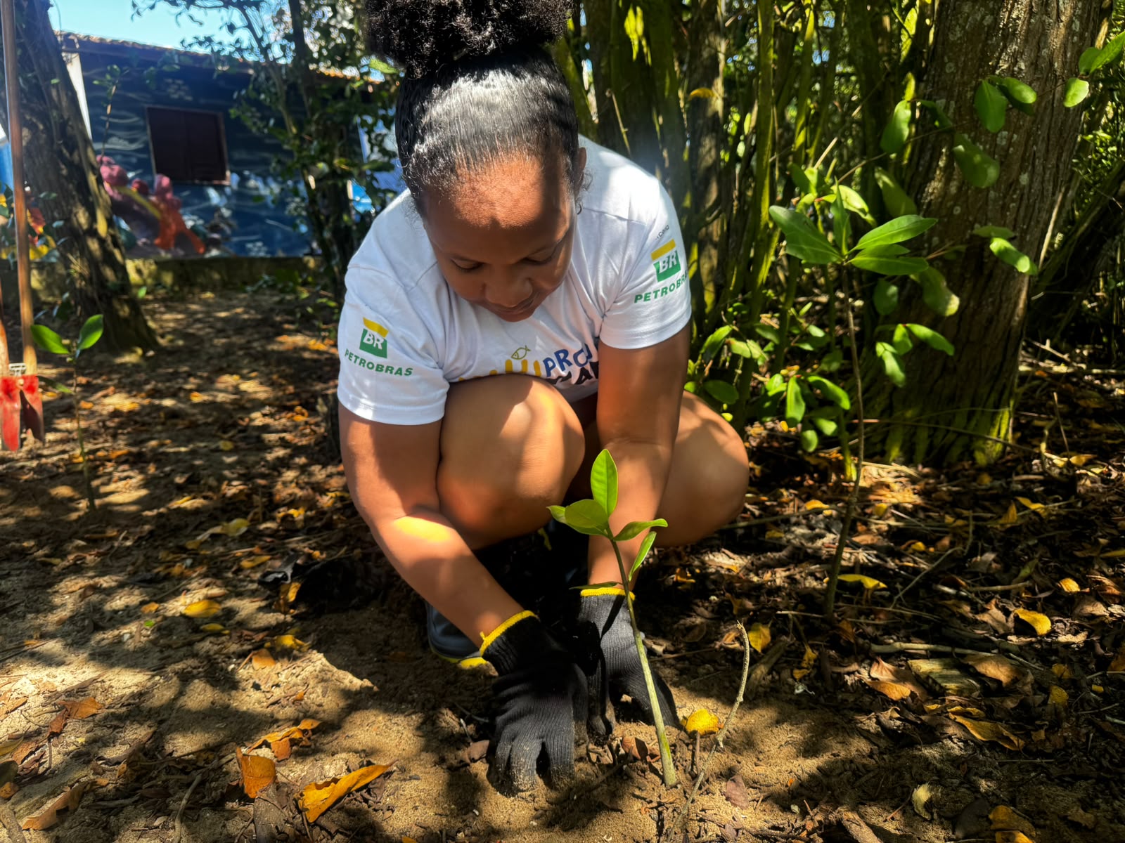 Ação do Projeto Mares retira mais de 40 kg de lixo em manguezal na Ilha de Itaparica