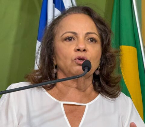 Imagem do post Aladilce Souza aponta divergências em percentuais de construção de escola em Salvador