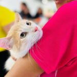 Castramóvel chega a Camaçari com castração gratuita de cães e gatos