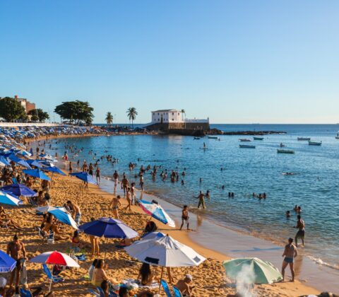 Imagem do post Porto da Barra terá área exclusiva para banho com boias; instalação começa nesta terça (1º)