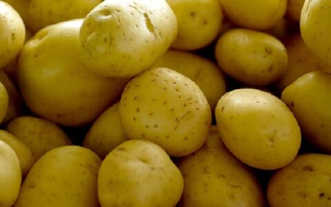 Imagem do post Preços de batata, tomate e cenoura caem em julho nas Ceasas, aponta Conab