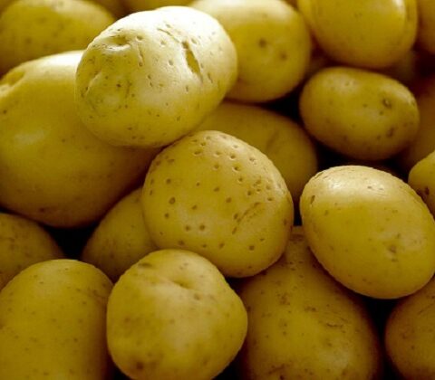 Imagem do post Preços de batata, tomate e cenoura caem em julho nas Ceasas, aponta Conab