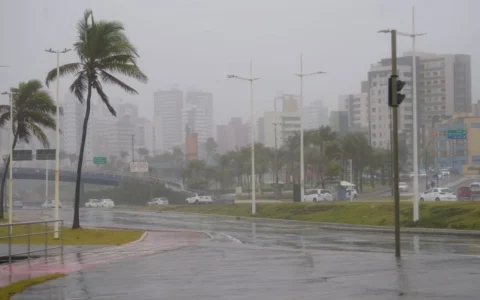 Imagem do post Salvador terá calor de 33°C e ventos de quase 40 km/h nesta semana; veja previsão